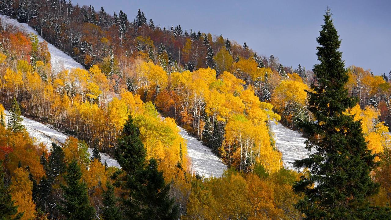 Le Bivouac - Les Chalets Spa Canada لا مالباي المظهر الخارجي الصورة