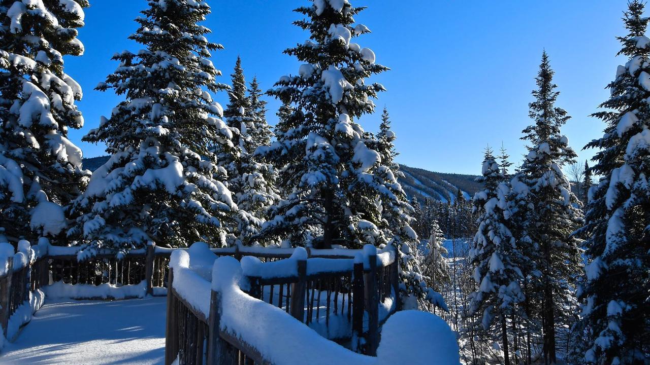 Le Bivouac - Les Chalets Spa Canada لا مالباي المظهر الخارجي الصورة